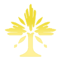 虚数